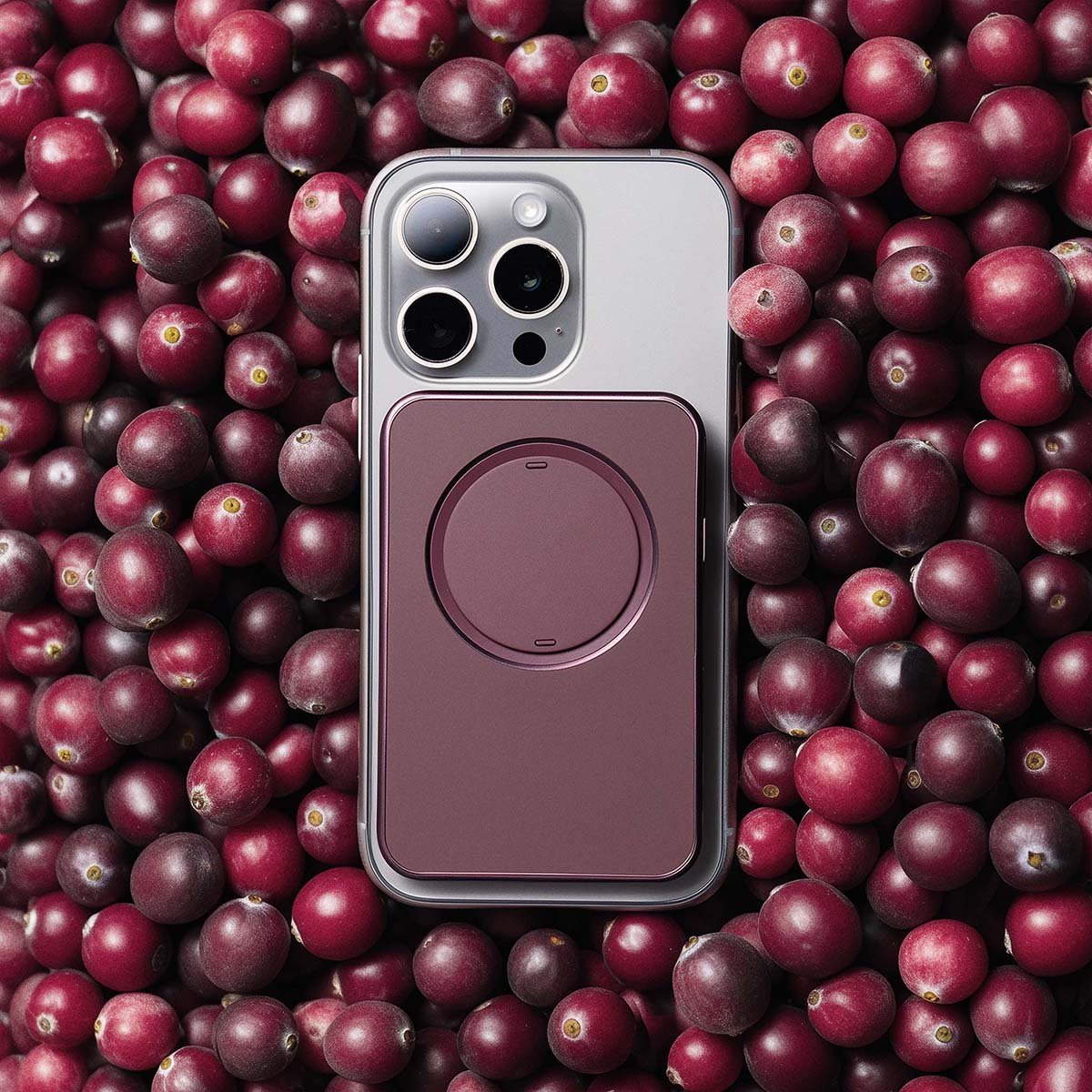Snap Grip Wallet